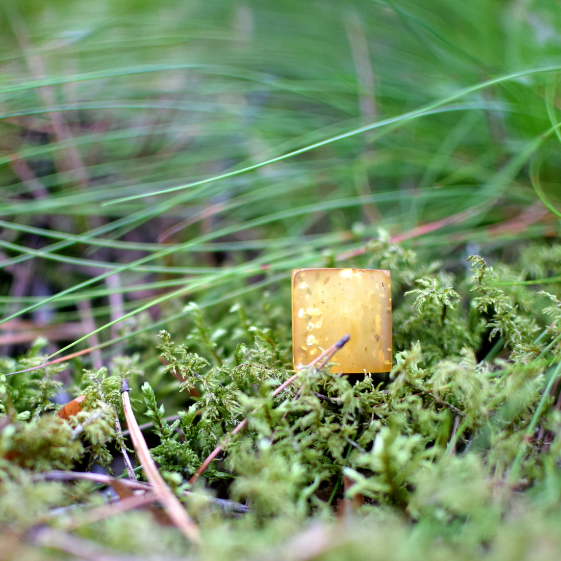 How to Tell if Amber Is Real: 5 Simple Ways to Identify Genuine Baltic Amber