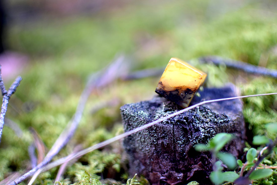 natural baltic amber piece formed millions of years ago